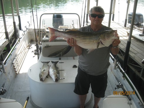Nice Striped Bass